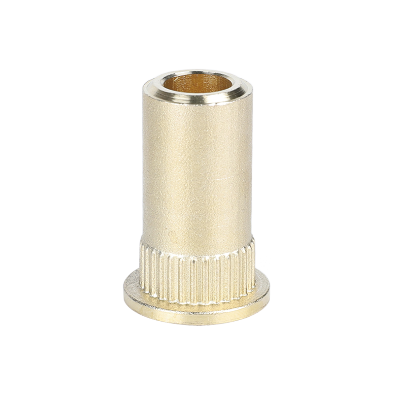 Conector de mangueira
